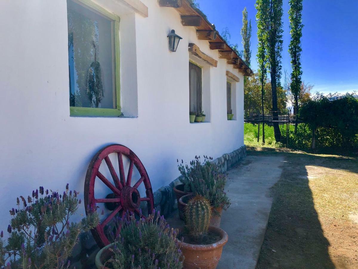 فيلا Casa San Jose Cachí المظهر الخارجي الصورة